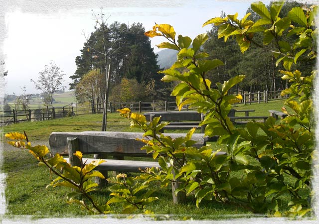 Branterhof in Rasen/Antholz - Urlaub auf dem Bauernhof