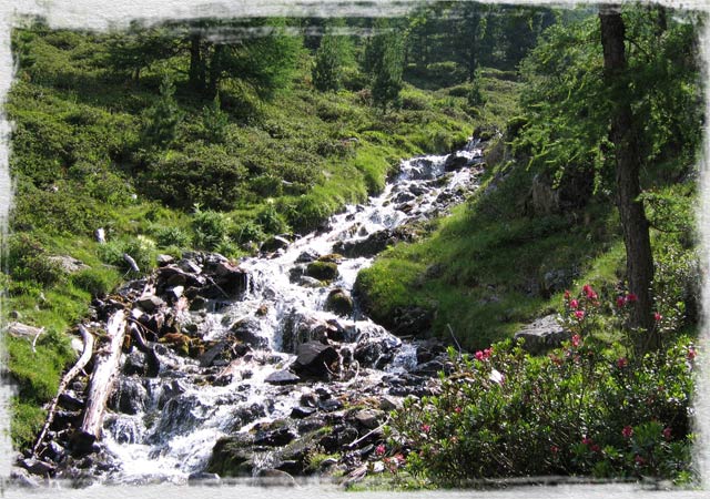 Branterhof in Rasen/Antholz - Urlaub auf dem Bauernhof