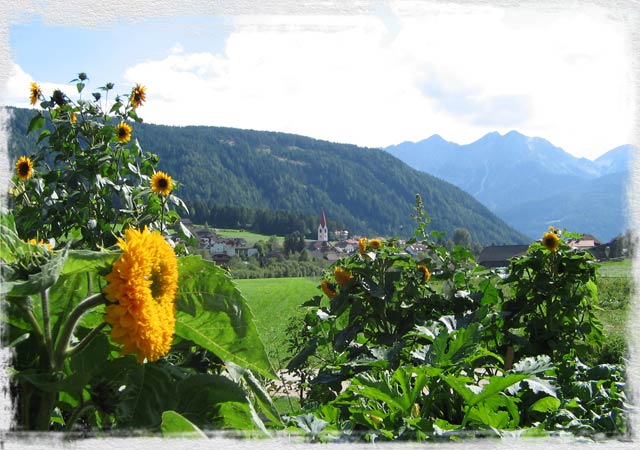 Branterhof - Apartments in Rasen Antholz - Farm Holidays in South Tyrol