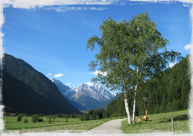 Branterhof - Appartamenti in Rasun Anterselva - Agriturismo in Alto Adige