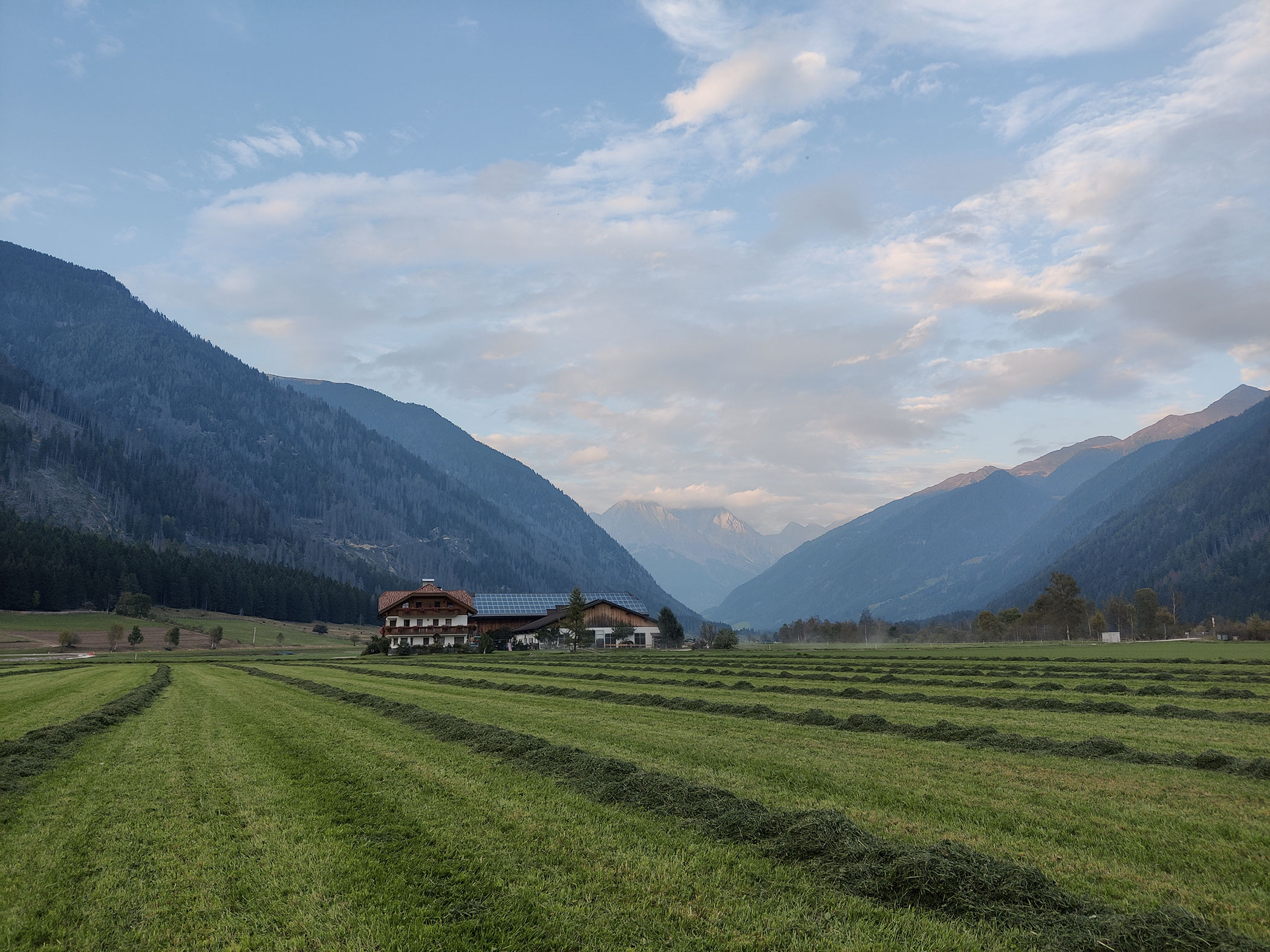 Gemähtes Gras vor dem Branterhof