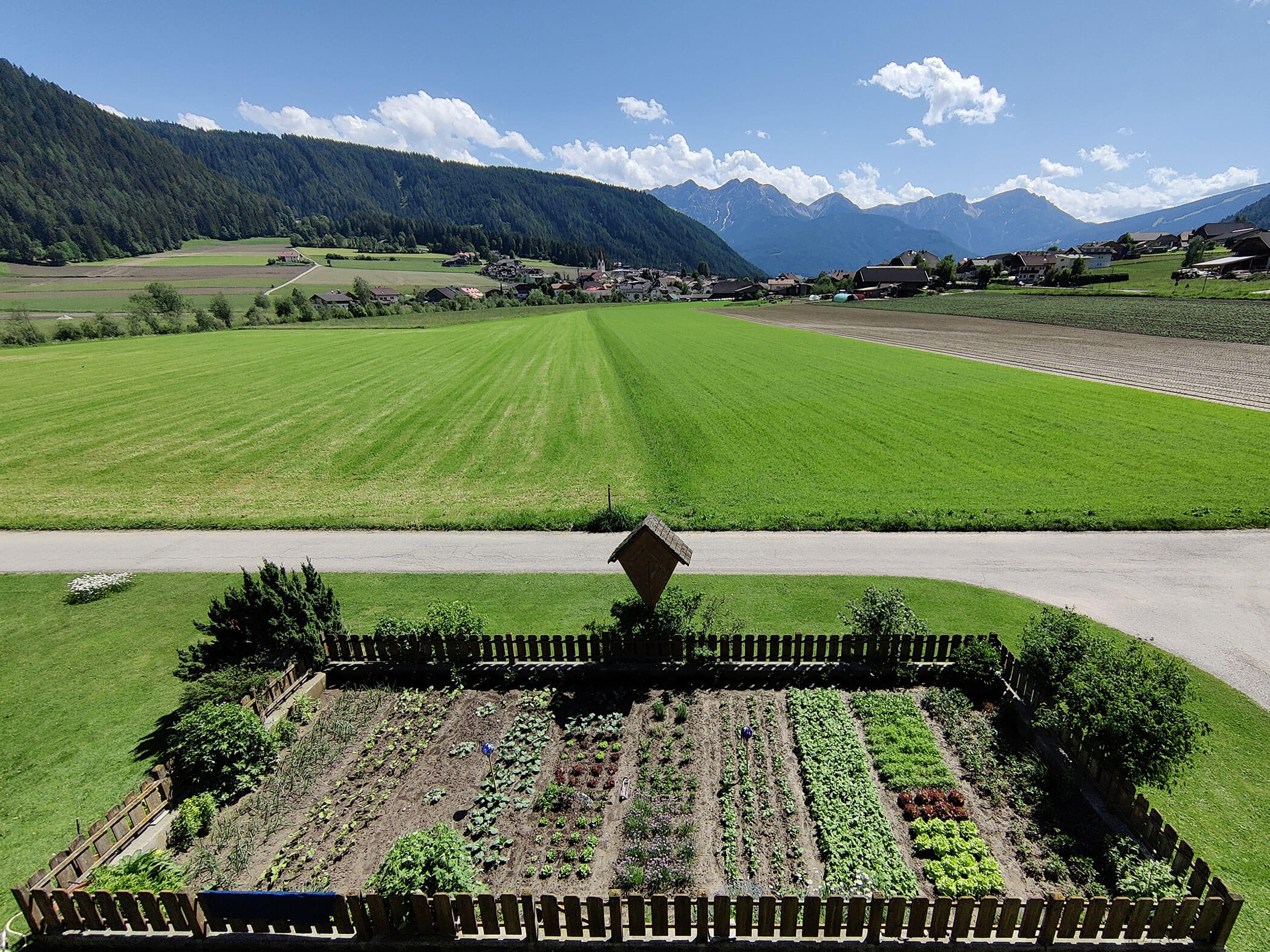 The Branterhof garden with various vegetables, a green meadow in the background