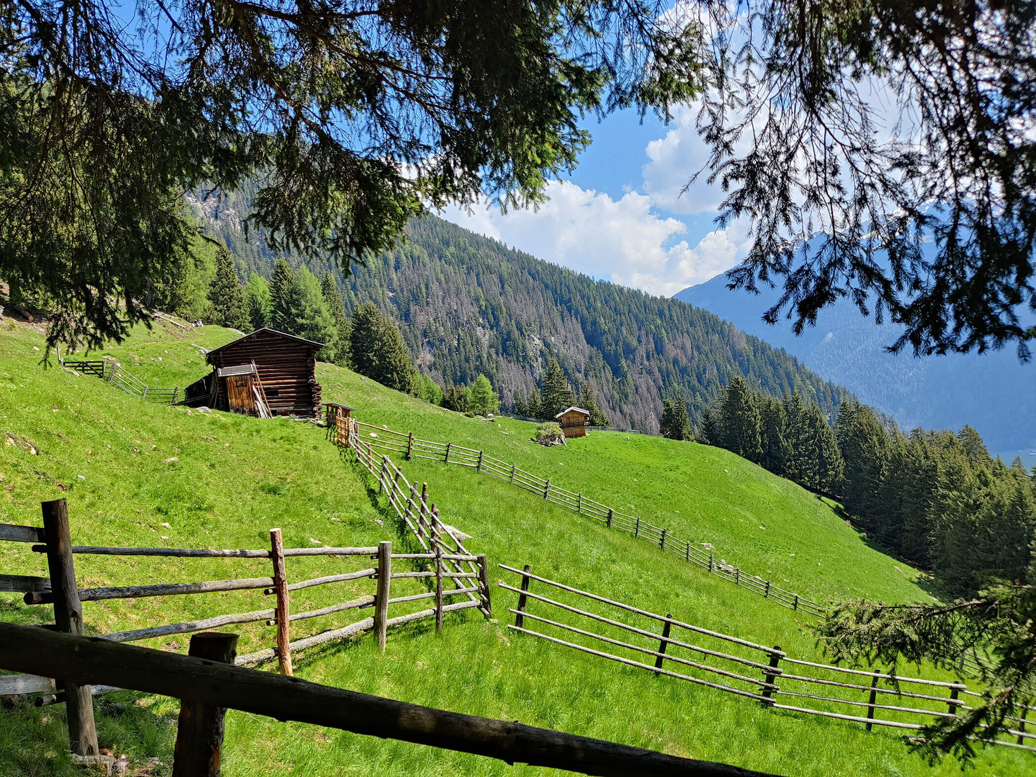 Zwei Hütten vor eingezäunten Wiesen - Branterhof