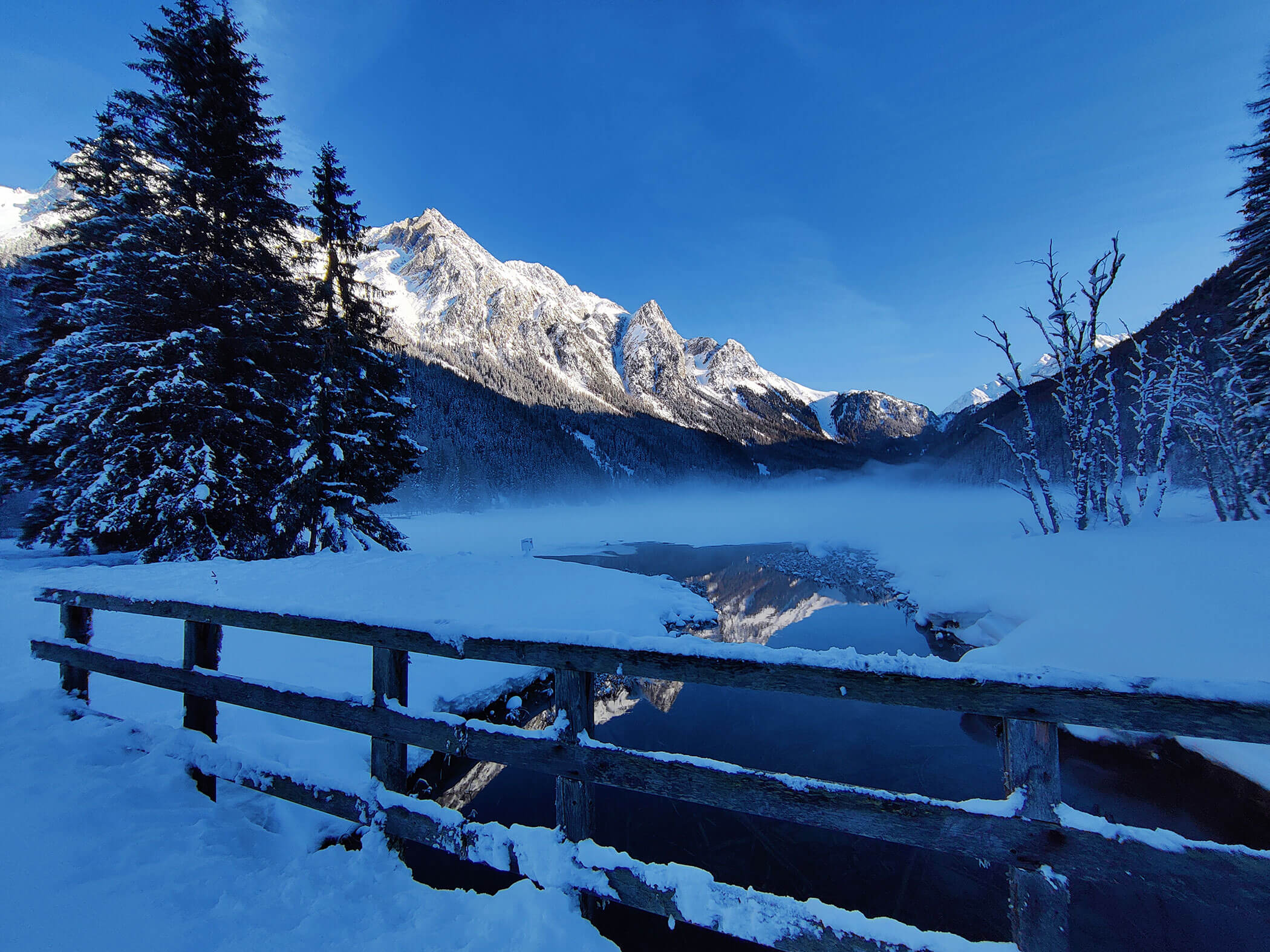 Verschneite Landschaft mit Bäumen uns Bergen - Branterhof